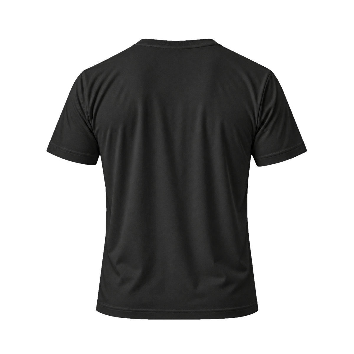 TexTale _FRESH Stain-Repel Relaxed Tee in Black — back view, product only